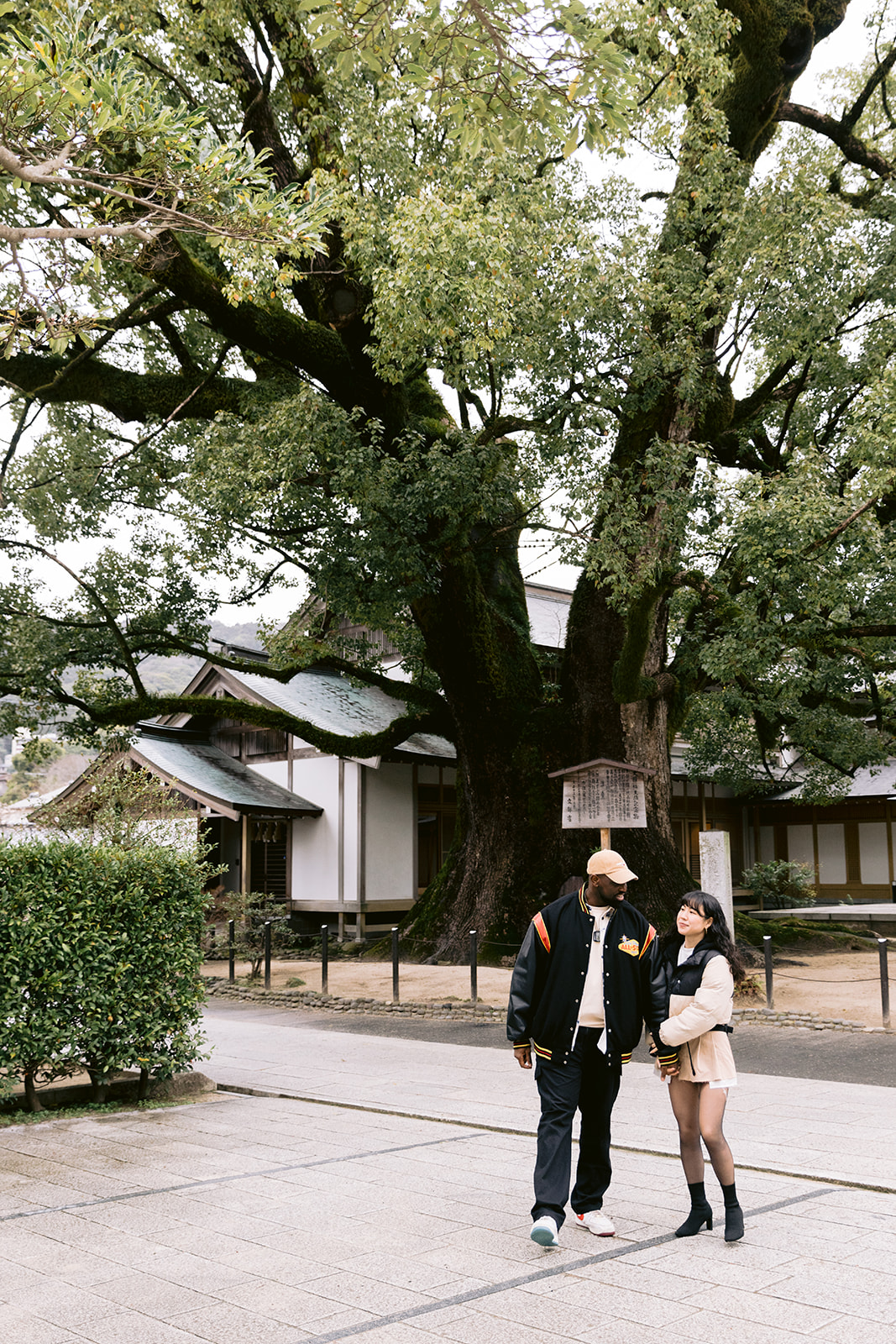 Japan shrine photography